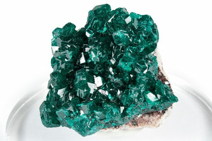 Sparkly Emerald-Green Dioptase Crystal Cluster - Congo #347863